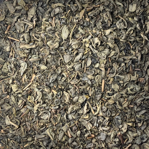 Gunpowder Green Tea (Camellia sinensis)