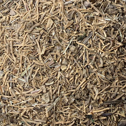 Valerian (Valeriana officinalis)