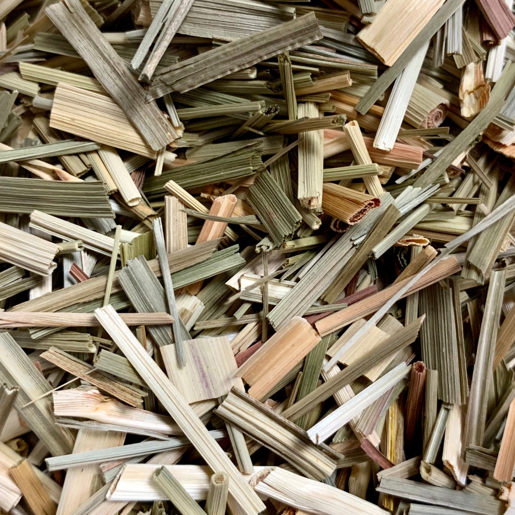 Lemongrass (Cymbopogon citratus)