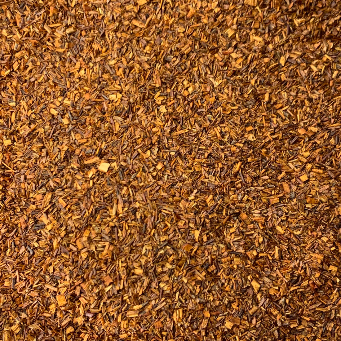 Rooibos, Red (Aspalathus linearis)