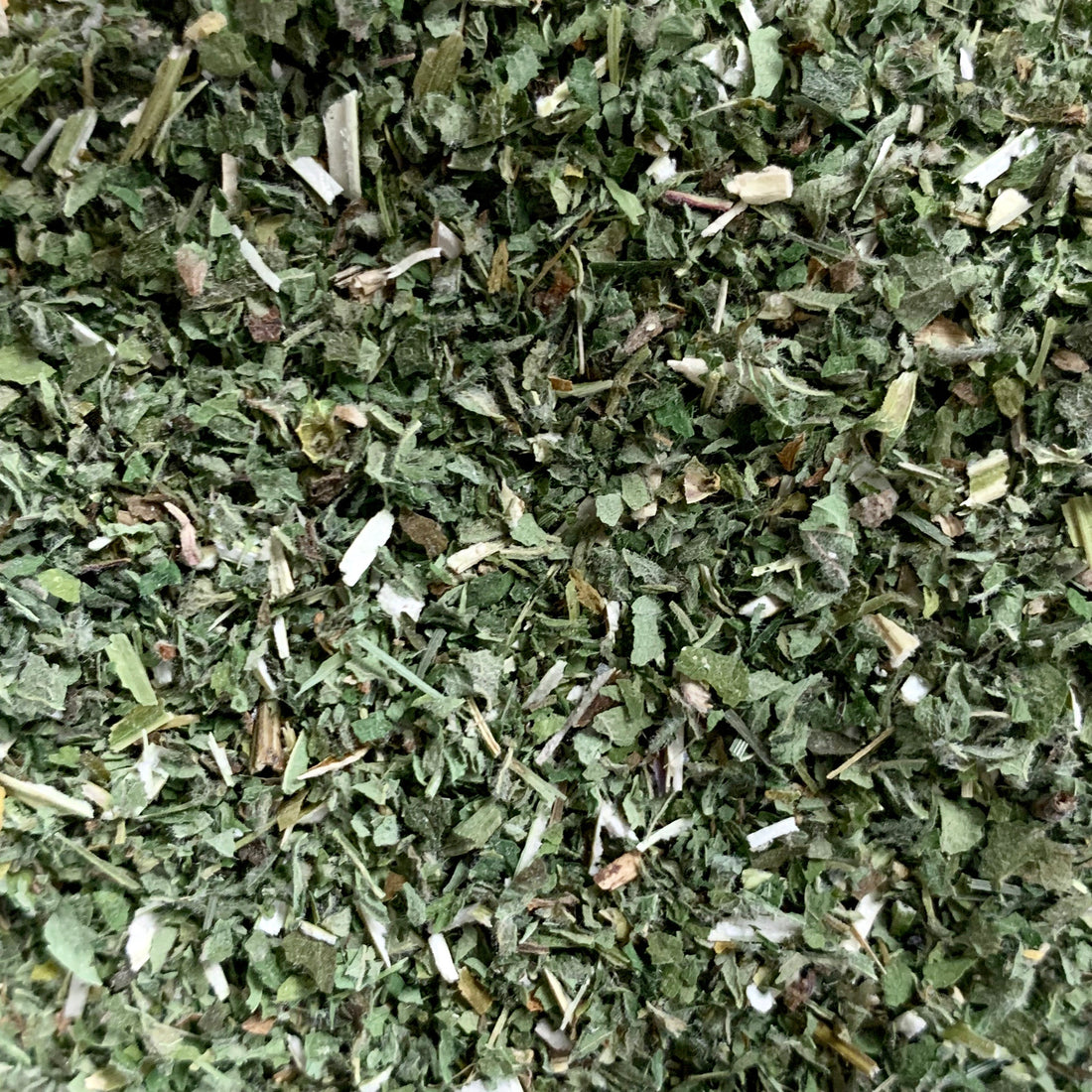 Motherwort (Leonurus cardiaca)