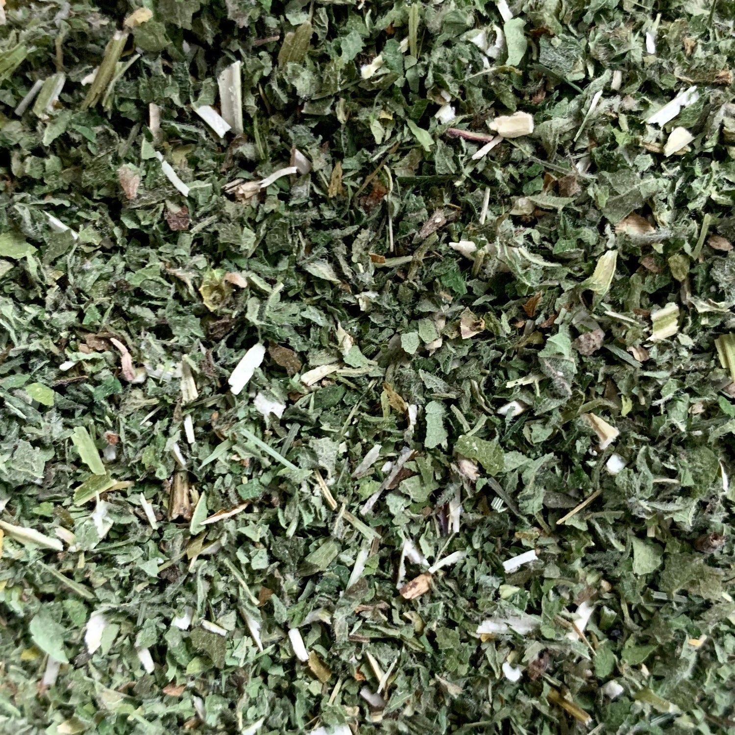 Motherwort (Leonurus cardiaca)