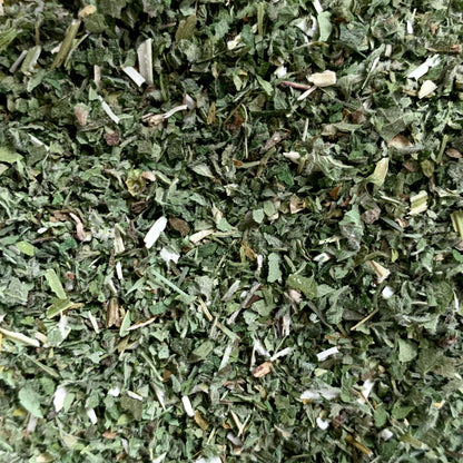 Motherwort (Leonurus cardiaca)