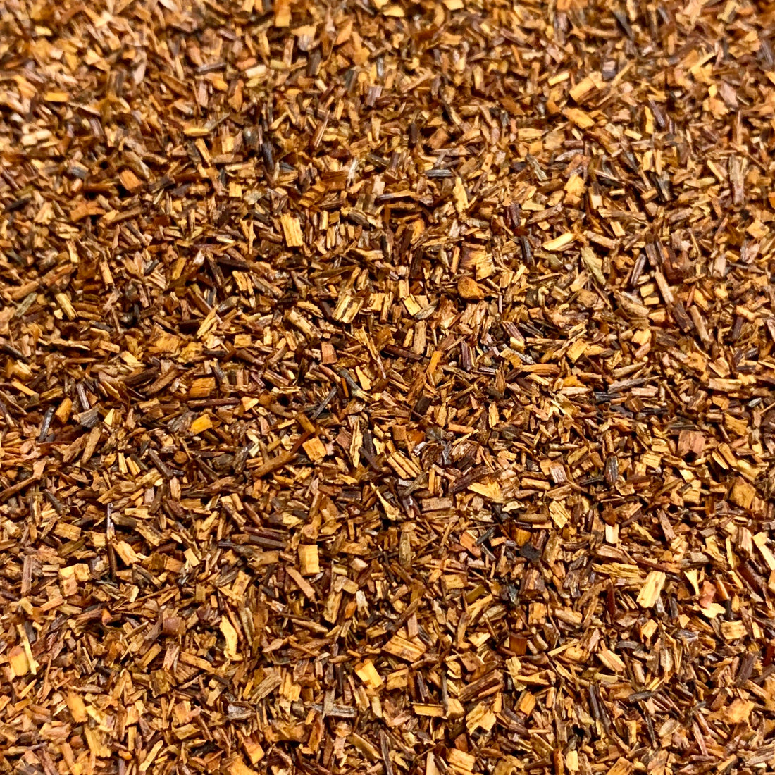 Rooibos, Red (Aspalathus linearis)