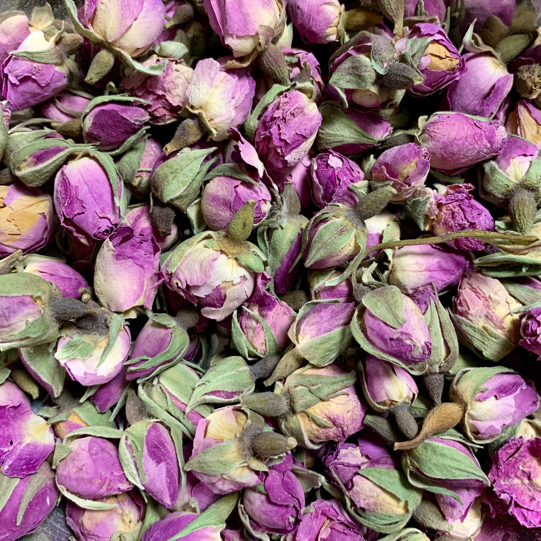 Rose buds (Rosa damascena)