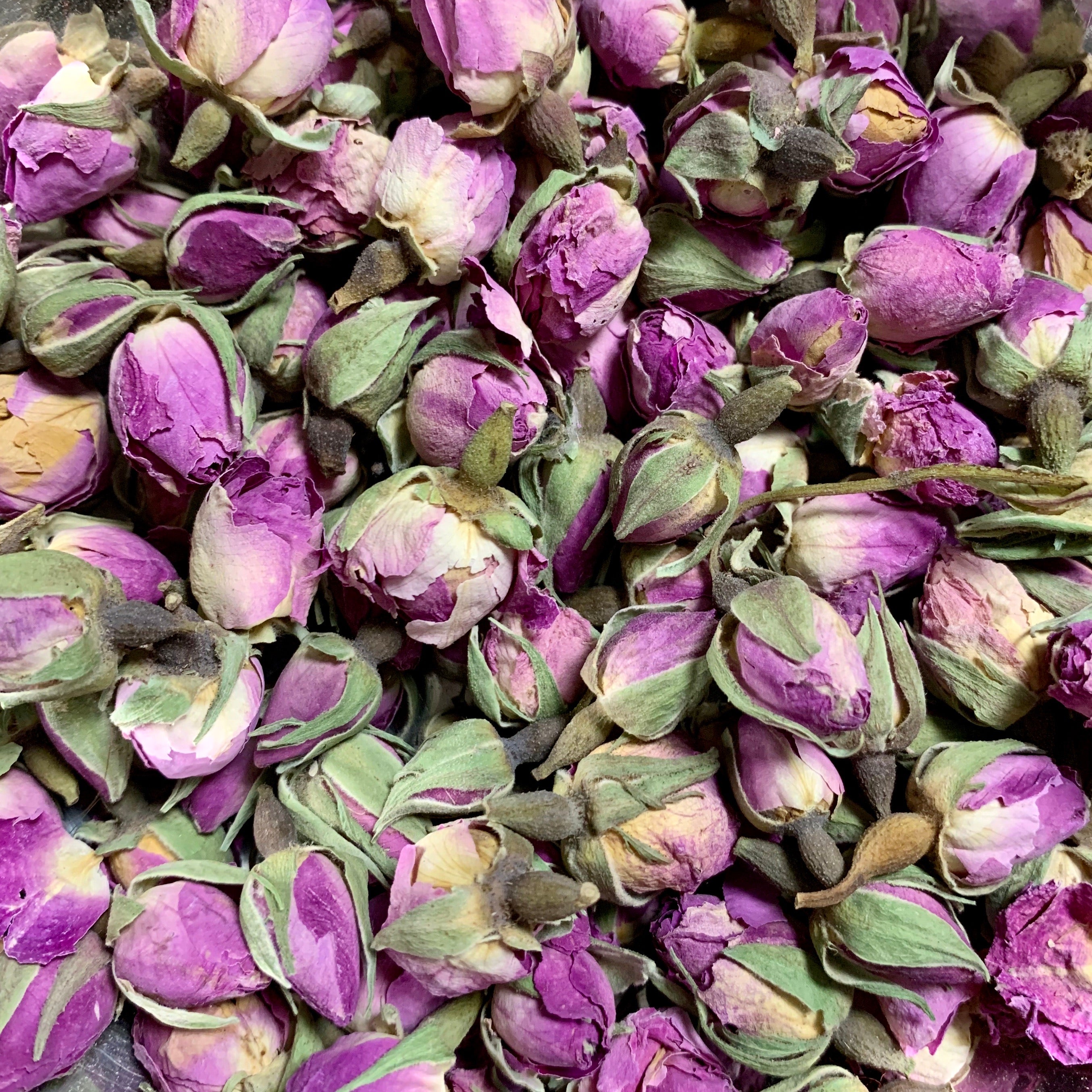 Rose buds (Rosa damascena) – Alchemy & Herbs