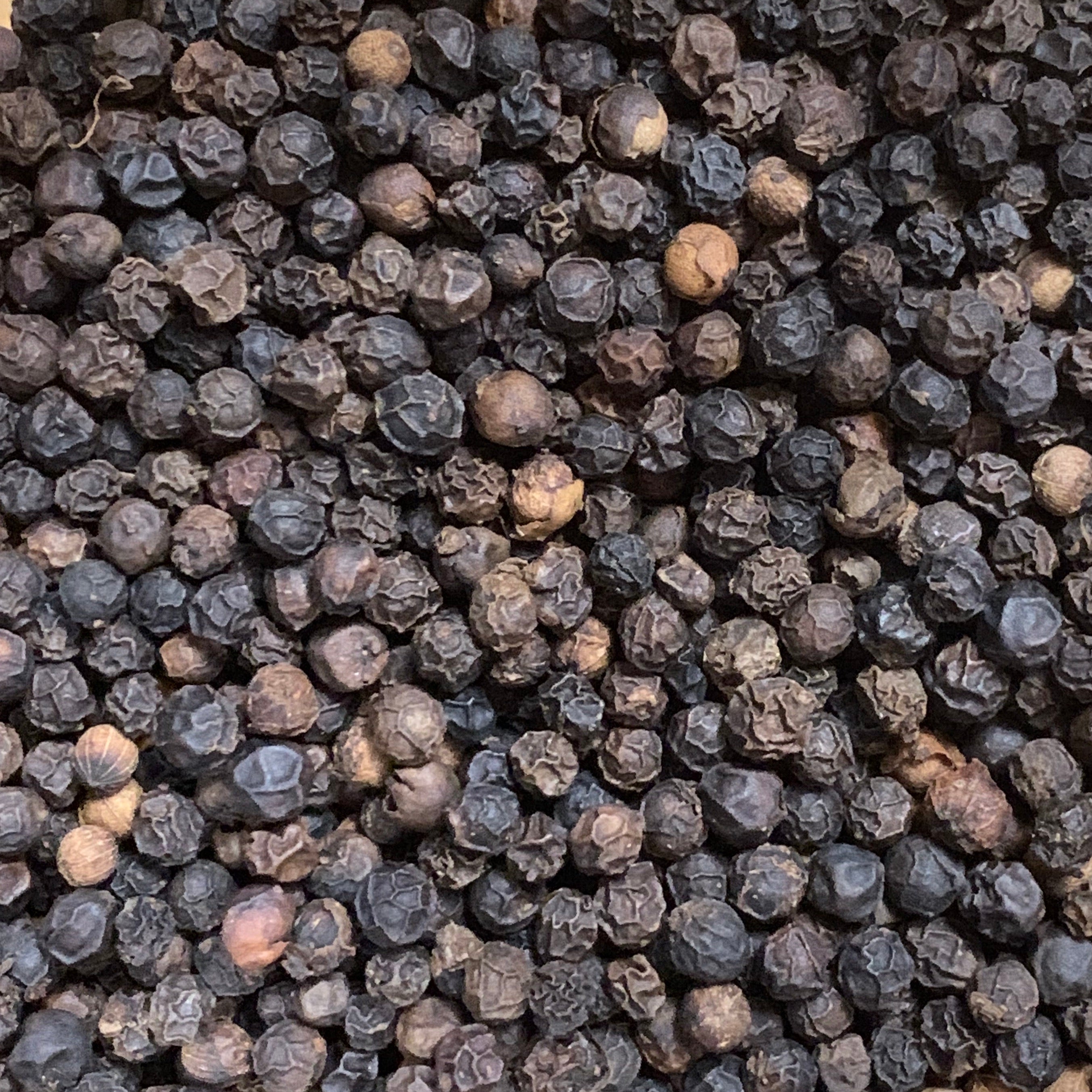 Black Peppercorn (Piper nigra)