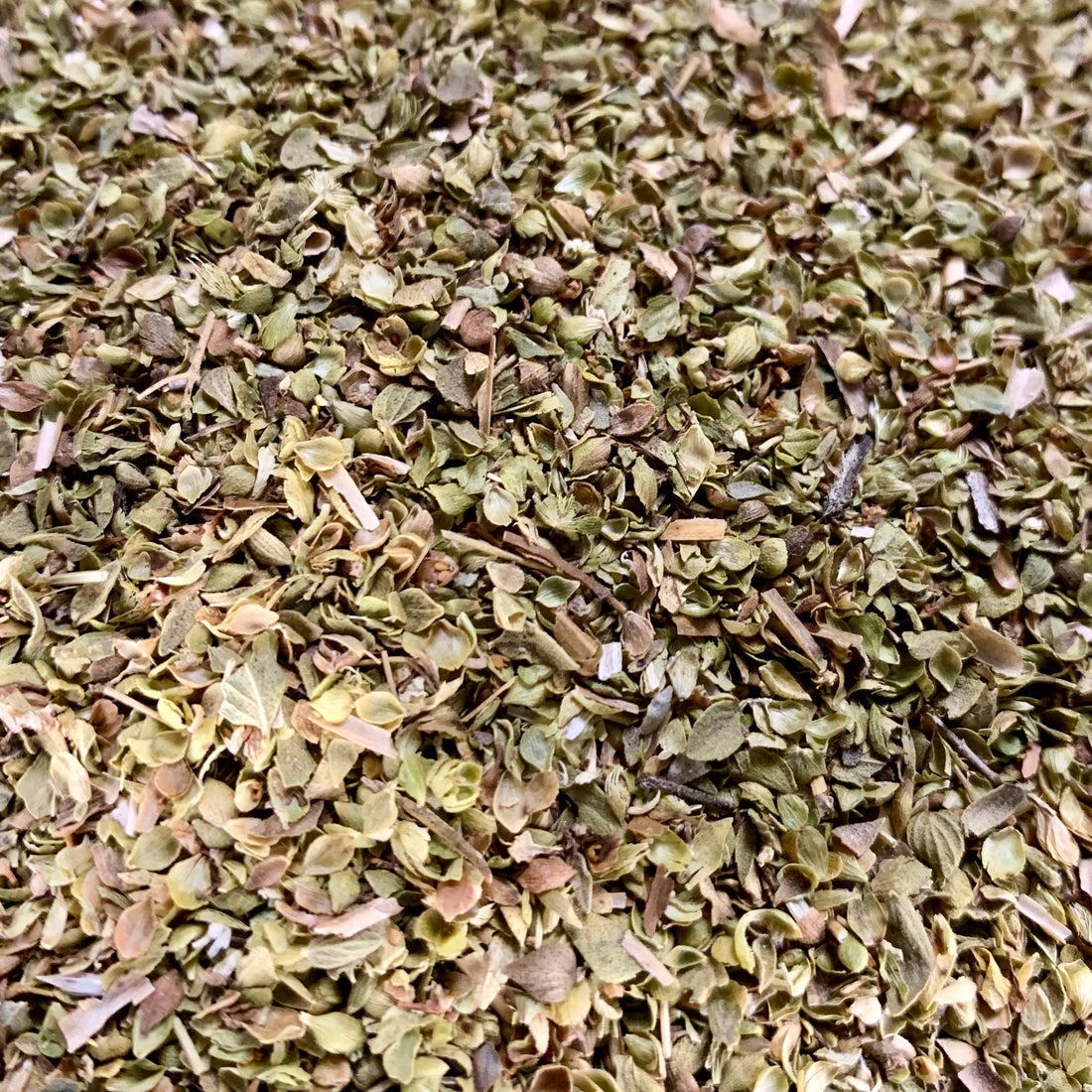 Oregano (Origanum sp)