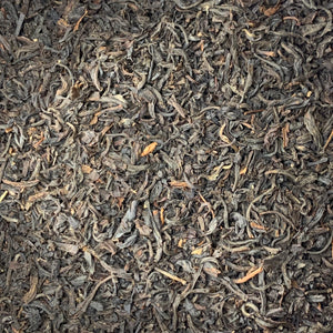 Assam Black Tea (Camellia sinensis)