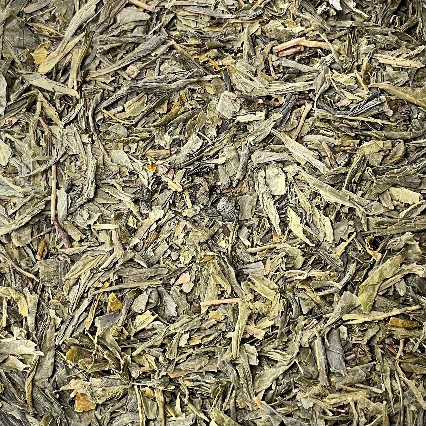 Sencha Green Tea (Camellia sinensis)