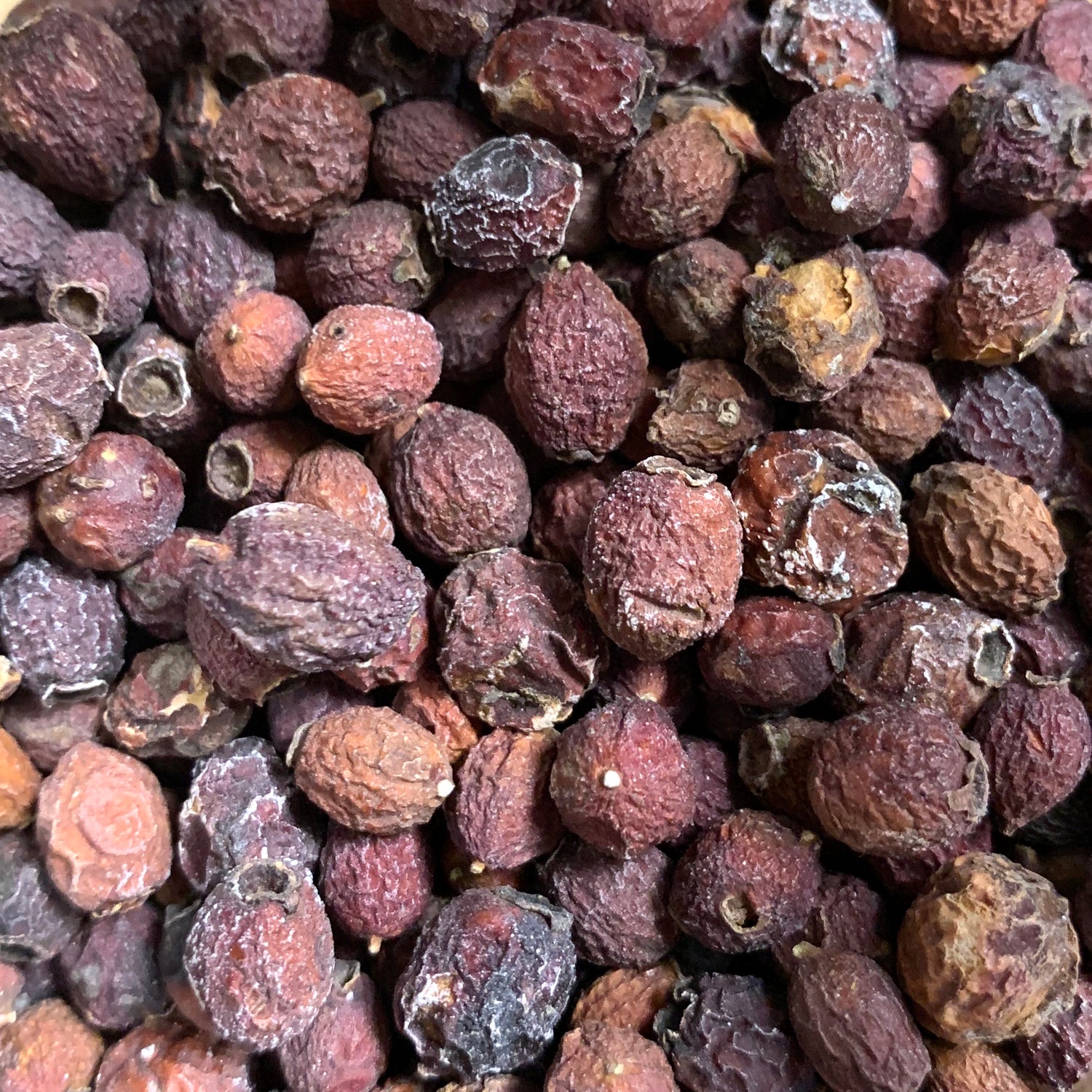 Hawthorn Berries (Crataegus monogyna)