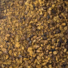 Chaga mushroom (Inonotus obliquus)