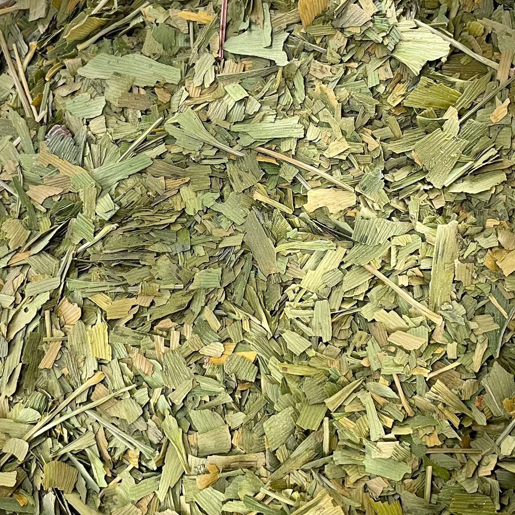Ginkgo (Ginkgo biloba)