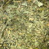 Ginkgo (Ginkgo biloba)
