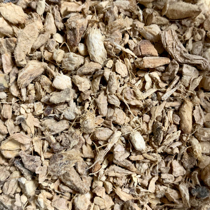 Ginger (Zingiber officinale)
