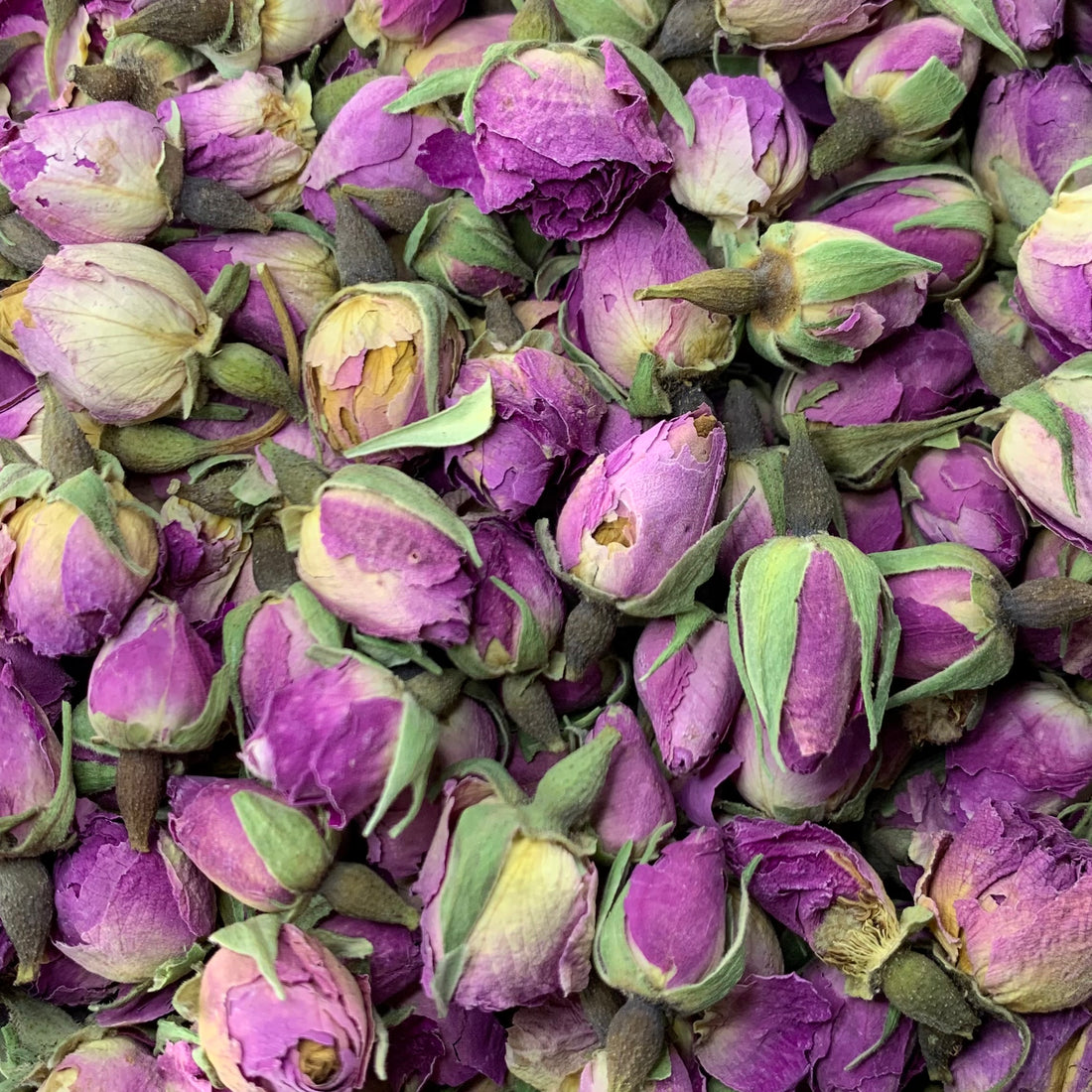 Rose buds (Rosa damascena)