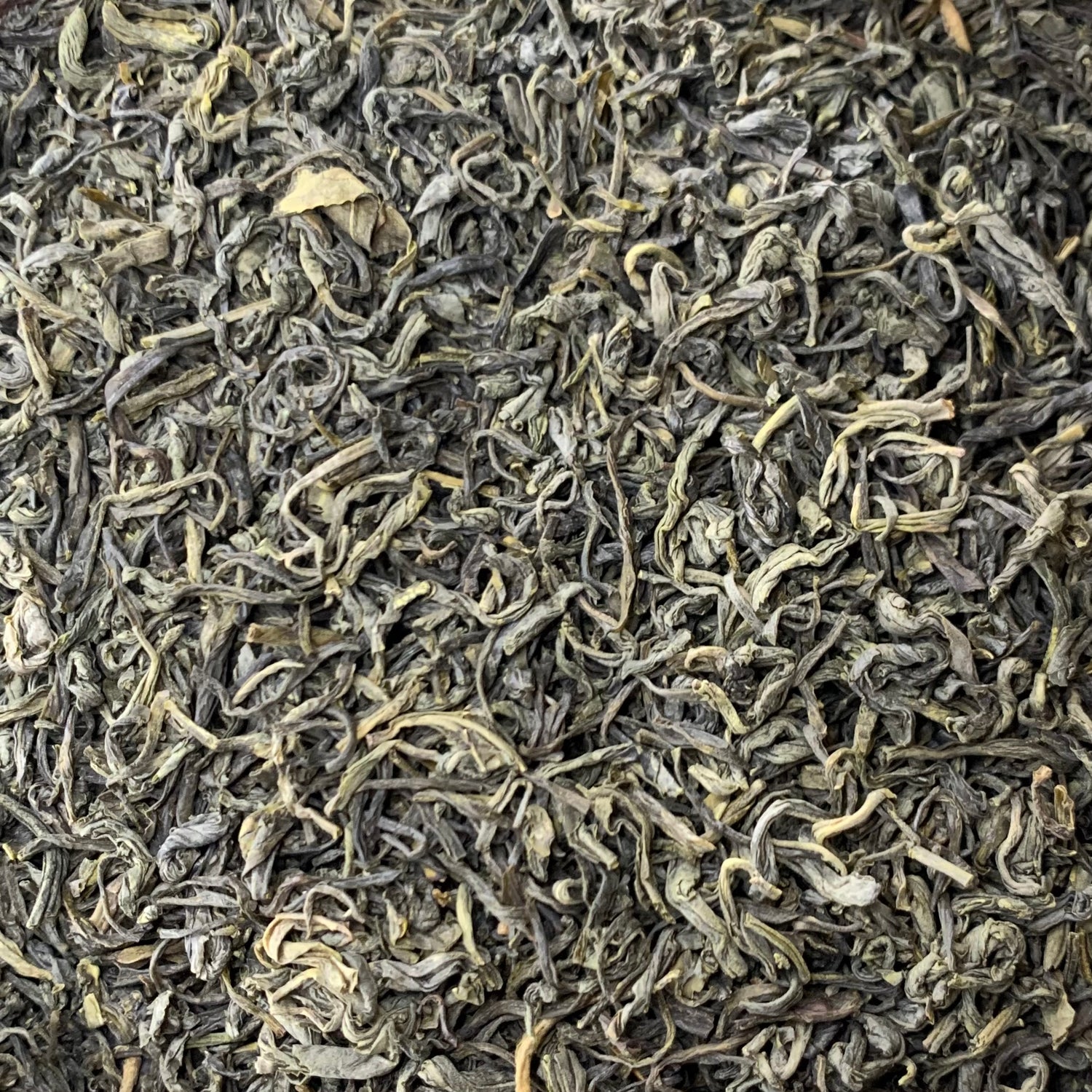 Spring Green Tea (Camellia sinensis)