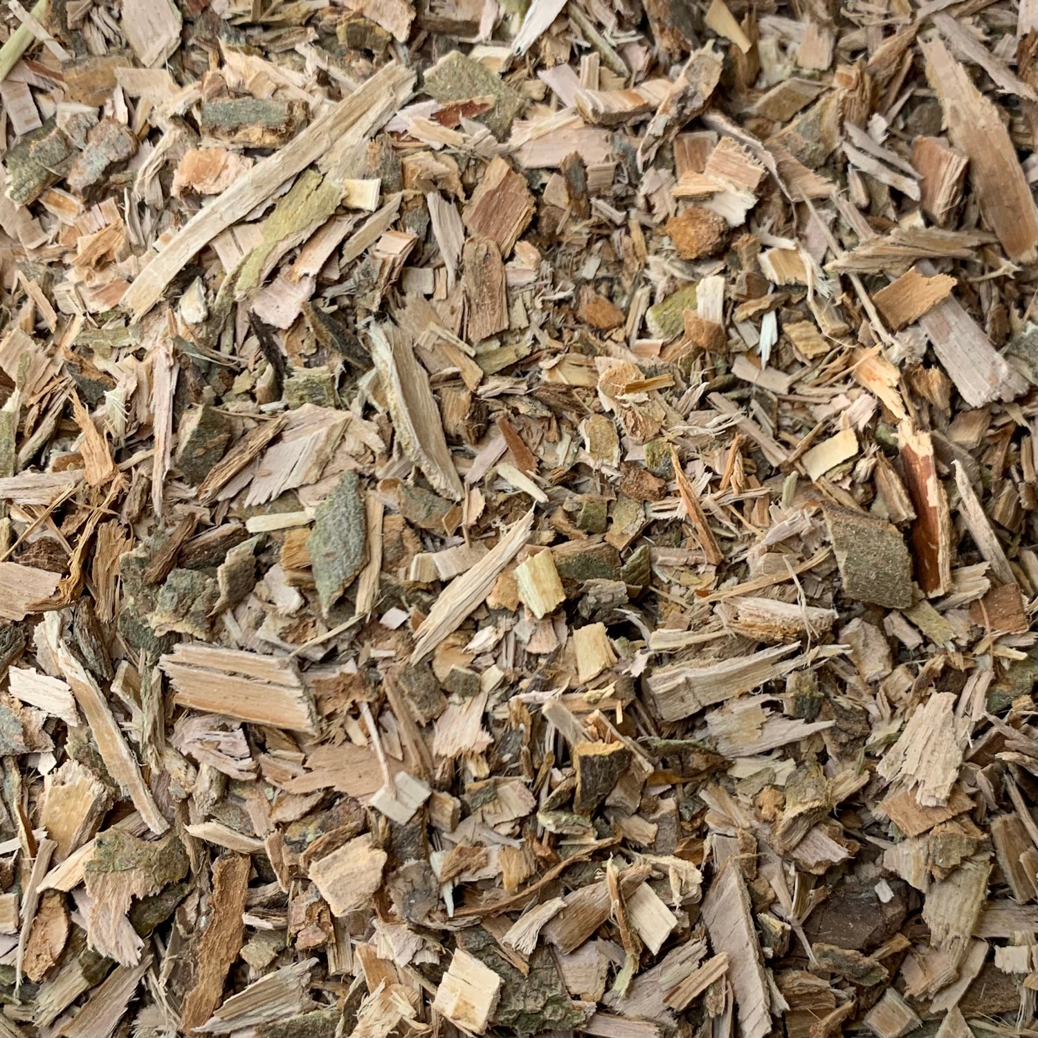 White Willow bark (Salix alba)
