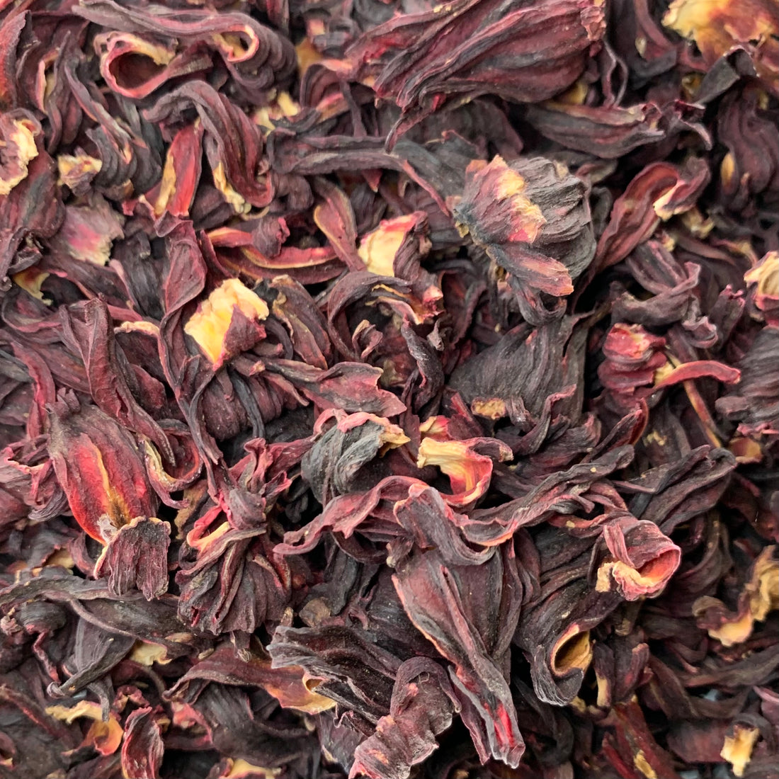 Hibiscus (Hibiscus sabdariffa)