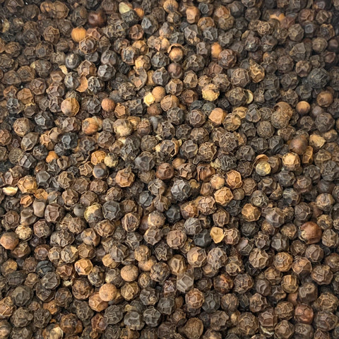 Black Peppercorn (Piper nigra)
