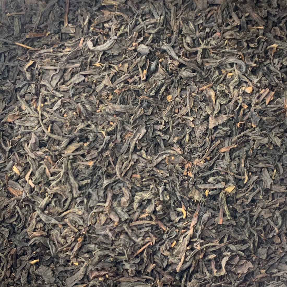 Lapsang Souchong Black Tea (Camellia sinensis)