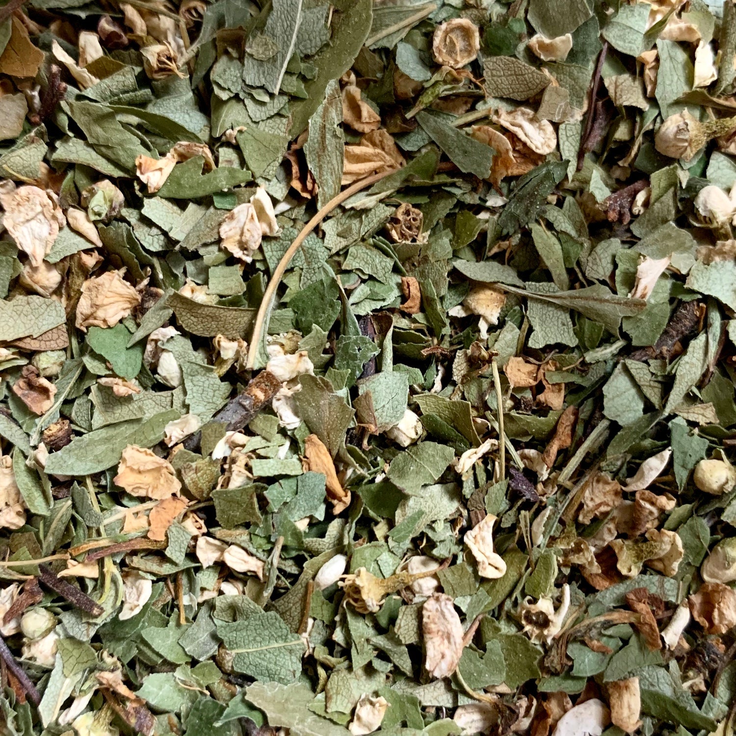 Hawthorn leaf &amp; flower (Crataegus laevigata)