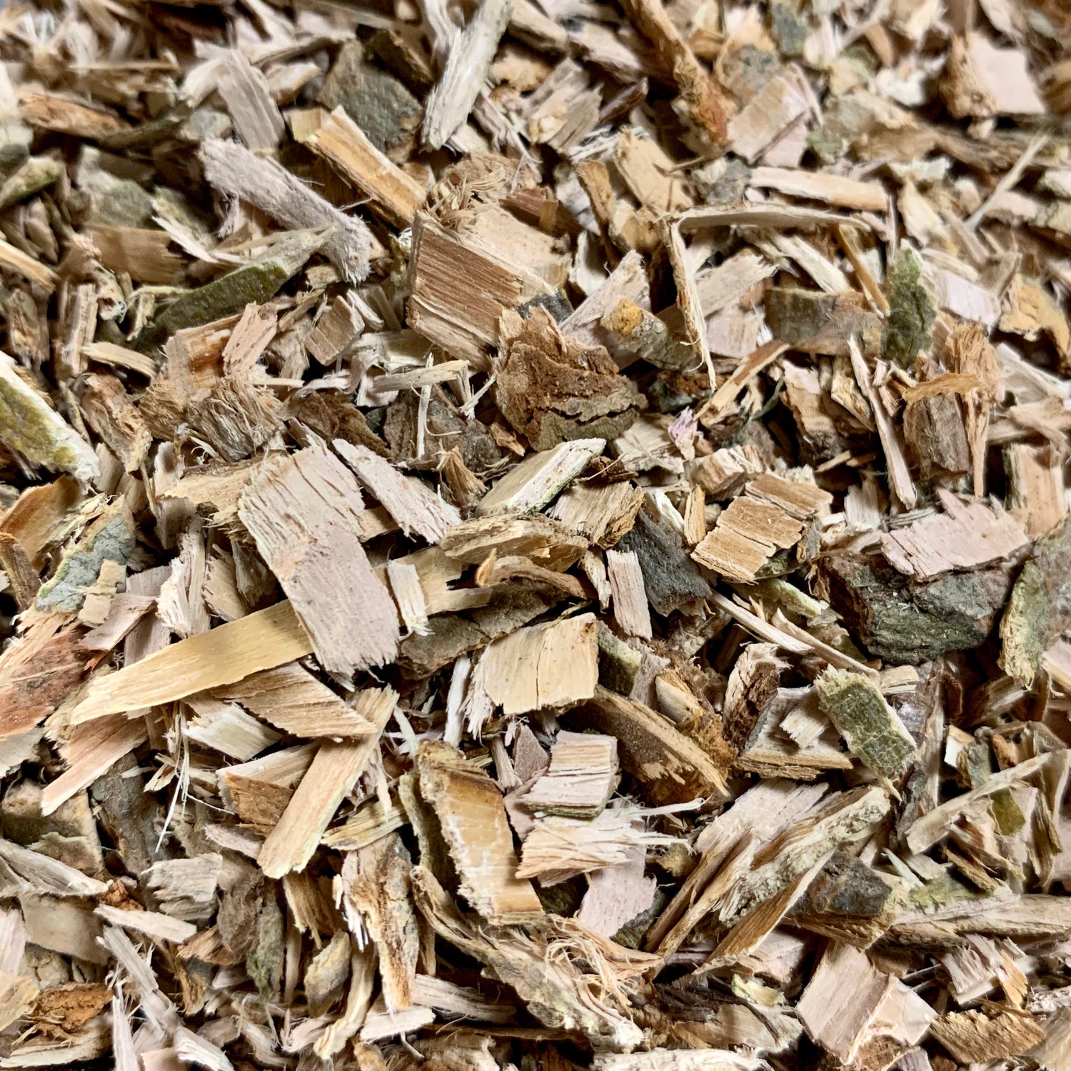 White Willow bark (Salix alba)