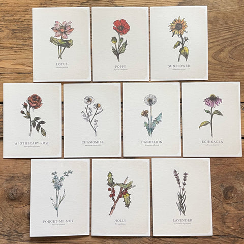 Floral Greeting Card Set