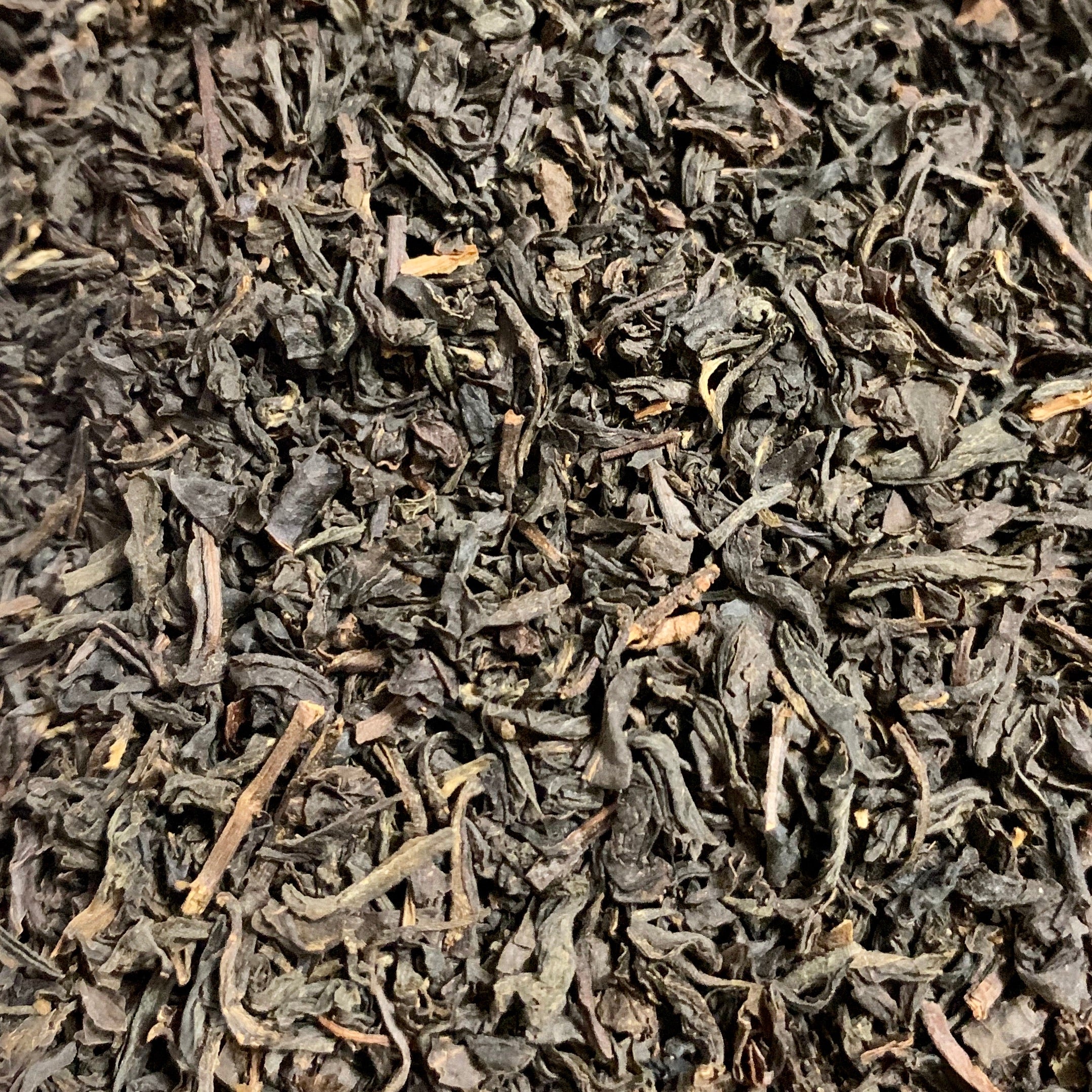 Lapsang Souchong Black Tea (Camellia sinensis)