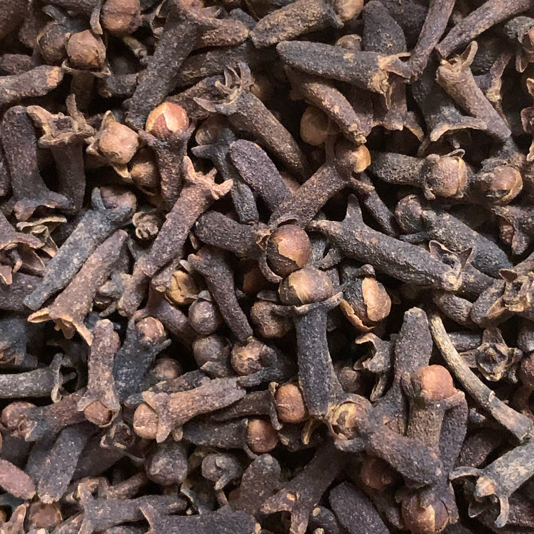 Cloves (Syzygium aromaticum)