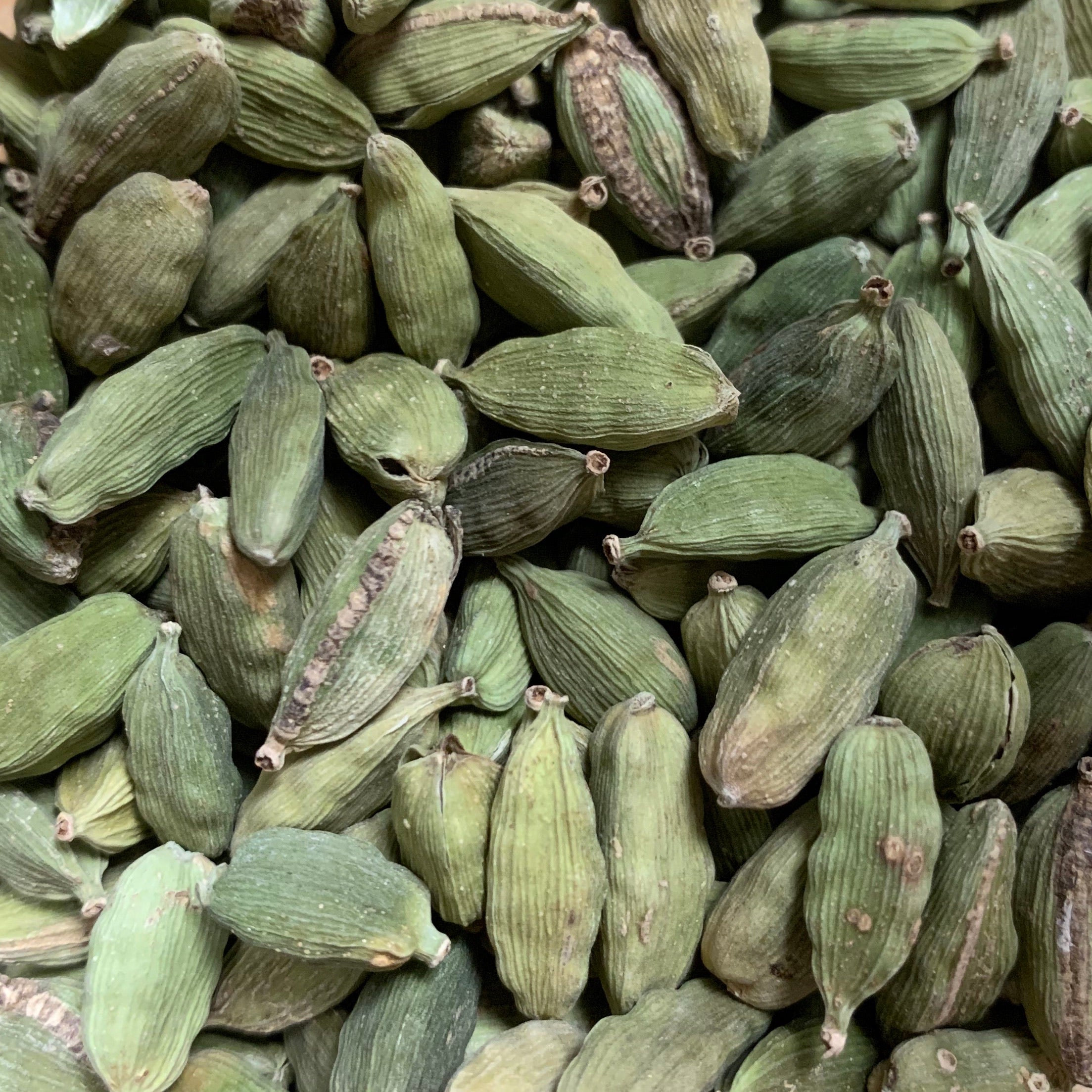 Cardamom pods (Elettaria cardamomum)